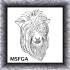 MSFGA-Mini Silky Fainting Goat Registry