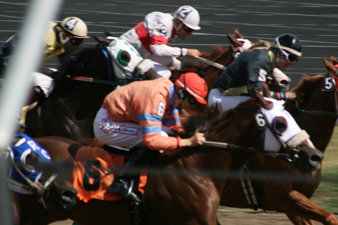 Montana Horse Racing